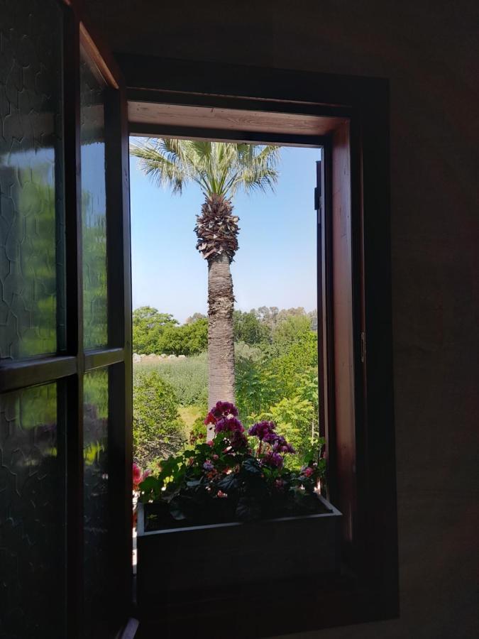 Bed and Breakfast Casa Callinos Selçuk Zewnętrze zdjęcie