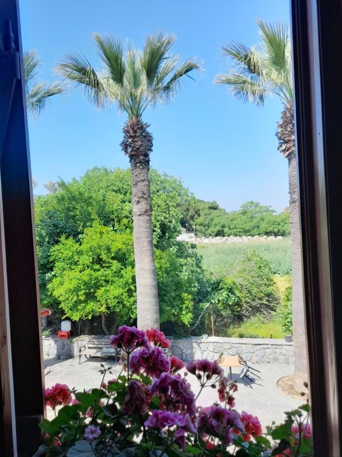 Bed and Breakfast Casa Callinos Selçuk Zewnętrze zdjęcie